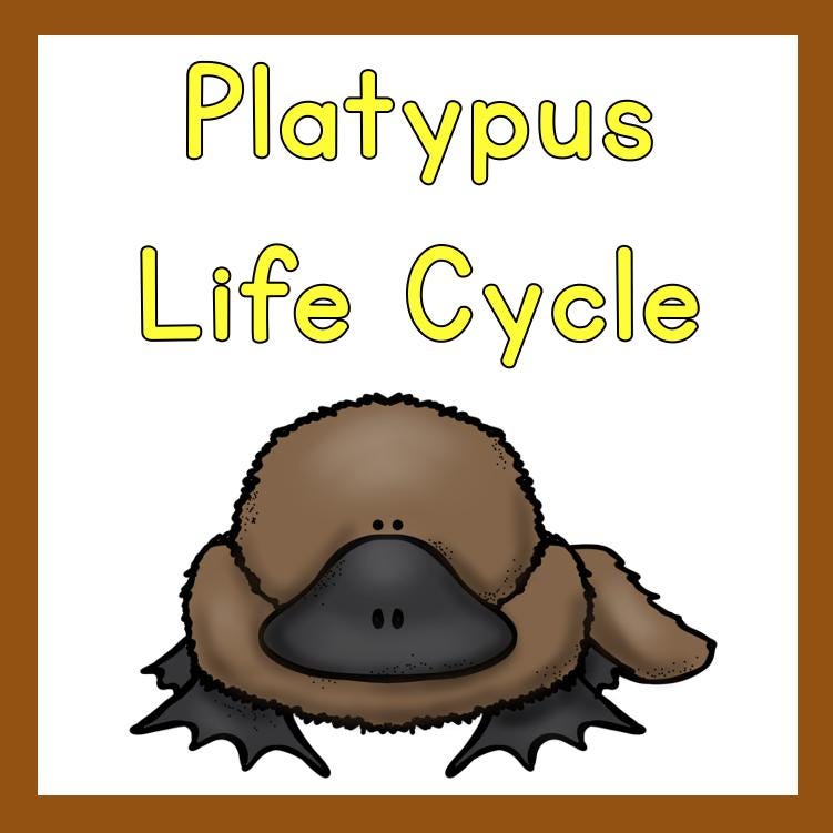 Platypus Life Cycle | Digital download products | Teacher resources