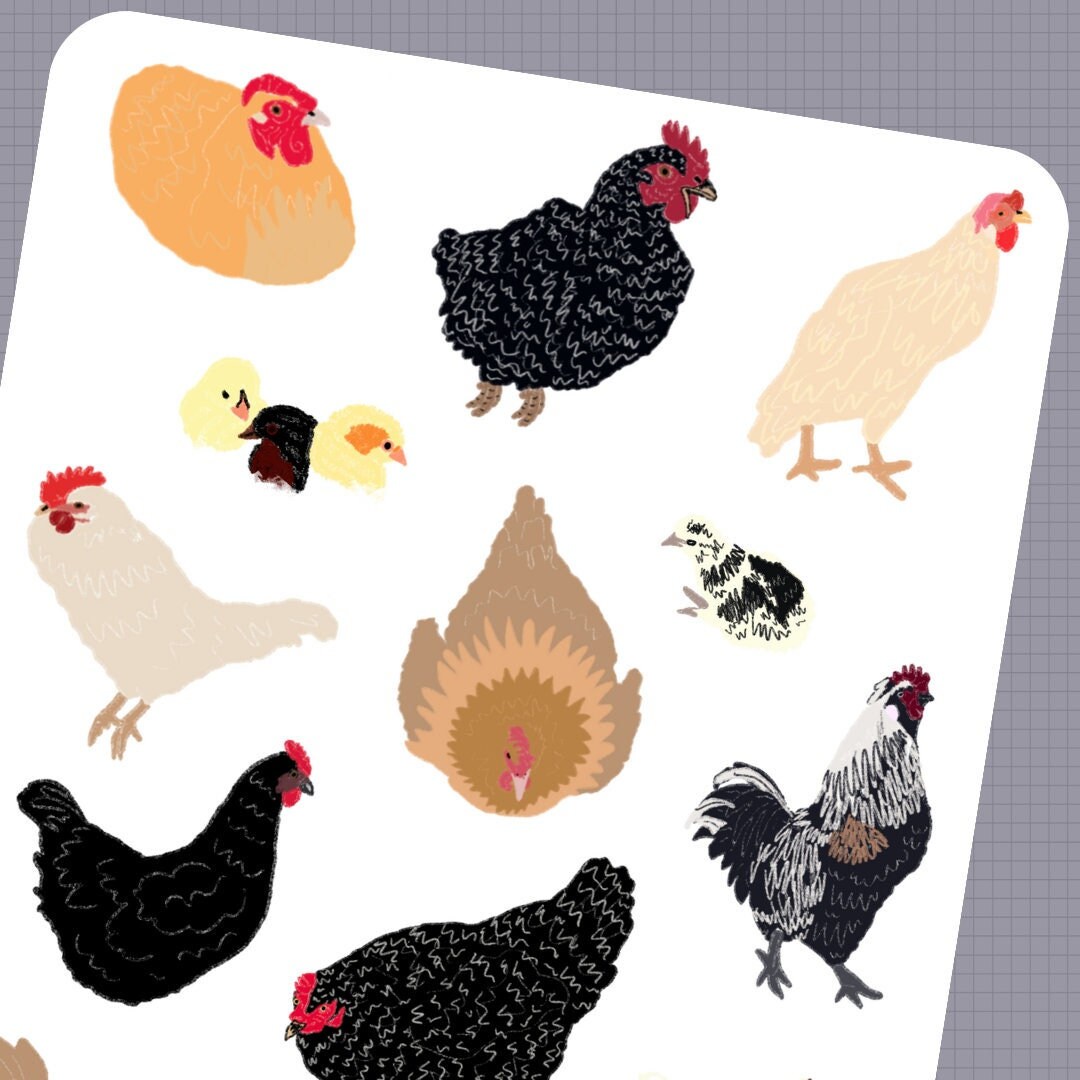 Hand Drawn CHICKENS - Farm Animals - Hens - Roosters - Chicks - Planner ...