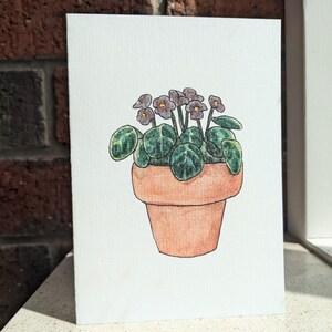 Garden Series - Violets