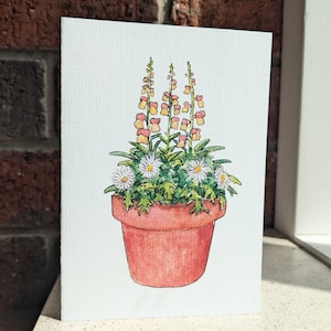Garden Series - Snapdragons