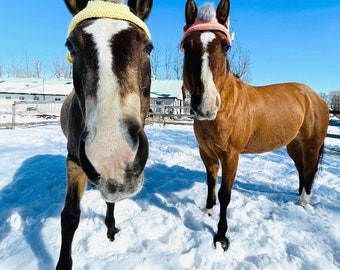 Horse Toque Hat Bonnet