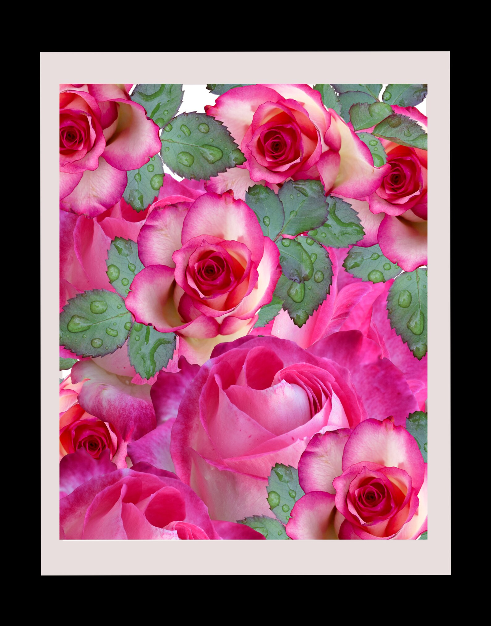 Rose Wall Decor Rose Wall Art Roses Wall Decor Roses Wall Etsy