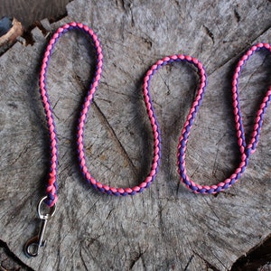 CUSTOM Dog Lead