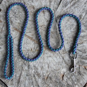 Purple and Teal Paracord Lead
