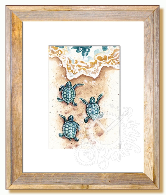 Baby Sea Turtle 5x7 Print in 8x10 Mat, Turtle Print, Wildlife Art
