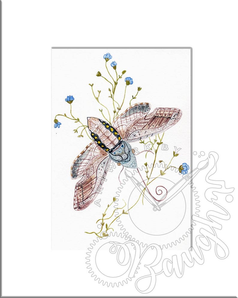 Hummingbird Hawk Moth Insect Natural History Print - Etsy