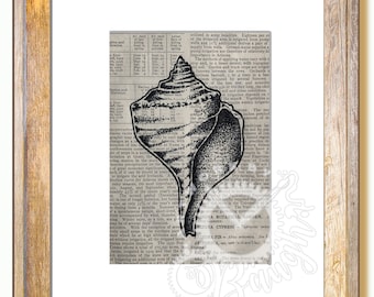 Original Pen and Ink Sea Shell on Antique Book Page, Hand drawn, Original Pen and Ink, One of a Kind, Beach Decor, Sea Shell Art