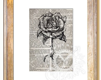 Original Pen and Ink Rose Drawing on Antique Book page, 5x7 matted to 8x10, pen and ink original, original artwork, rose, flowers