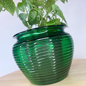 May include: A green glass planter with a ribbed design. The planter is filled with a leafy plant with pink speckles on the leaves.