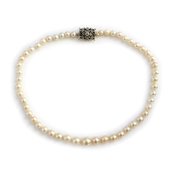Early 20th century single row cultured pearl coll… - image 2
