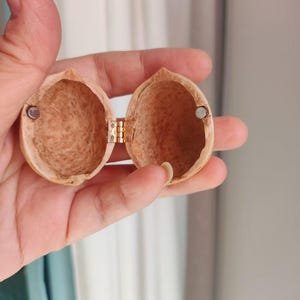 May include: A small, wooden box made from two halves of a walnut shell. The box is hinged and has a small metal latch. The box is open and the inside is empty.