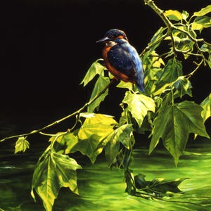 Limited Edition print &quot;The Backwater&quot; (Kingfisher)