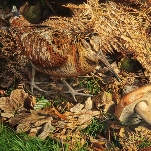 Woodcock & Porcini A4 Signed Fine Art print