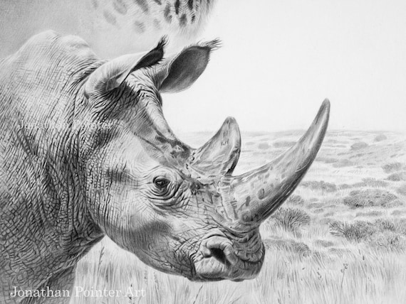 The Big Five Africa A2 Signed Edition Fine Art Print - Etsy