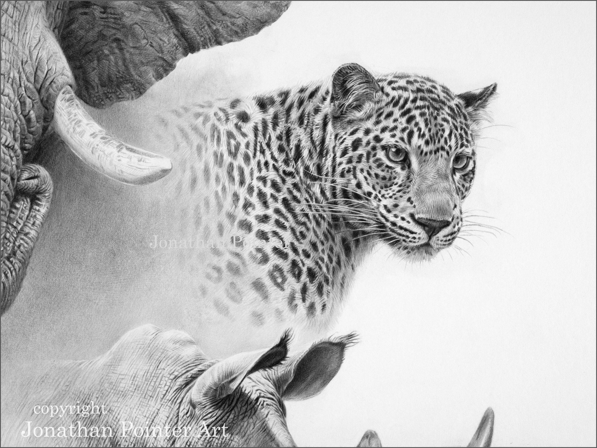 The Big Five Africa A2 Signed Edition Fine Art Print - Etsy