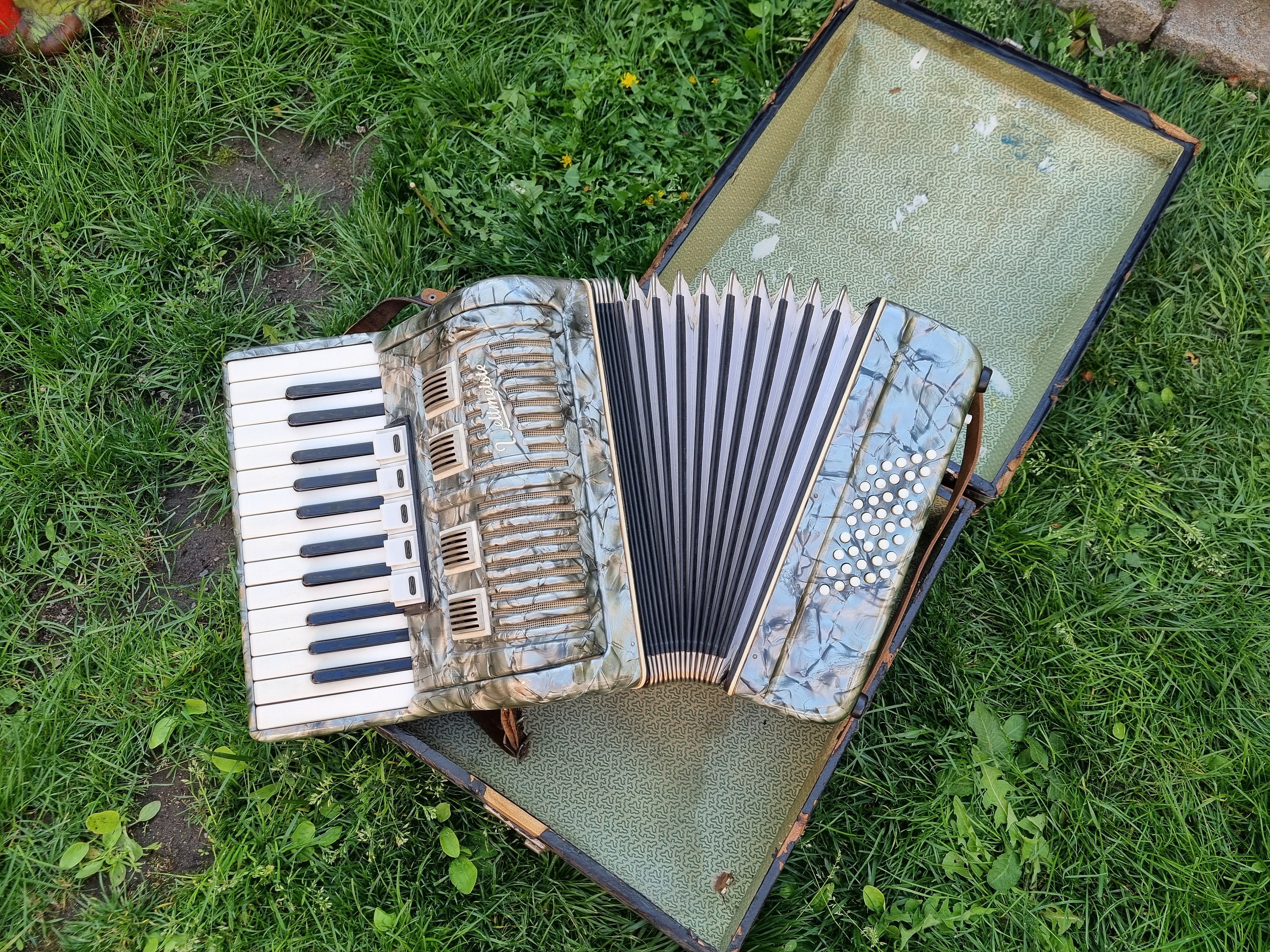 48 bass 2024 accordion for sale