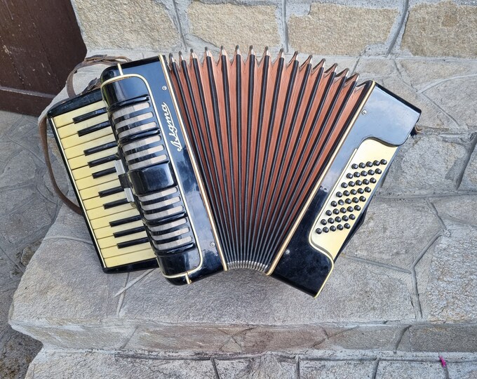 Rare Germany Accordion Nigma Vintage Accordion Made in Germany Old
