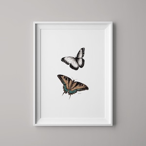 Watercolour Butterly Print | Butterfly | Butterfly Art | Watercolour Butterfly | Botanical Art | Butterfly Painting | Butterfly Print