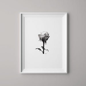 Single Rose Print | Monochrome | Rose Print | Rose Art | Flower Print | Botanical Print | Botanical Art | Pencil Drawing | Wall Print