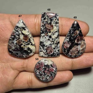 Può includere: Quattro pietre preziose lucide di varie forme: una goccia, un rettangolo, un'altra goccia e un cerchio. Le pietre presentano un motivo maculato di tonalità nere, bianche e marrone rossiccio, con inclusioni visibili. Le pietre preziose sono tenute in una mano.