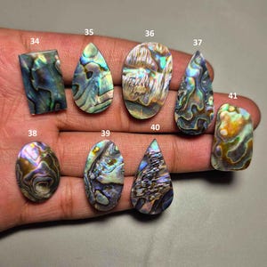 May include: A selection of iridescent abalone shell cabochons in diverse shapes, including rectangular, oval, teardrop, and irregular forms. The shells exhibit a spectrum of colours, such as blue, green, gold, and purple, with natural patterns. The cabochons are numbered for identification.