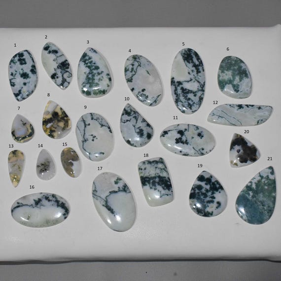 Exclusive Top Grade Tree Agate Gemstone, Natural Tree Agate Cabochon, Tree Agate Jewelry, Tree Agate, Multi Jewelry Making  #5