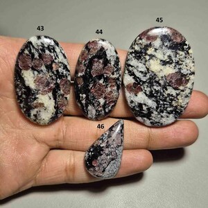 Op de afbeelding: Vier gepolijste edelstenen met een mix van kleuren. De stenen zijn ovaal en druppelvormig, met een gespikkeld patroon van zwart, wit en kastanjebruin. De edelstenen zijn genummerd 43, 44, 45 en 46.
