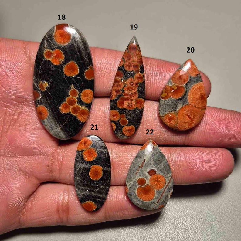 May include: Five polished gemstones with unique patterns. The stones vary in shape, including oval and teardrop. Each stone features a dark base color with orange and gray circular patterns. The gemstones are numbered 18, 19, 20, 21, and 22.
