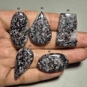 Może przedstawiać: Pięć wypolerowanych kamieni szlachetnych z nakrapianym wzorem w odcieniach czerni, bieli i kasztanowego. Kamienie mają różne kształty, w tym owalny, łezki i prostokątny. Na kamieniach widoczne są numery 32, 33, 34, 35 i 36.