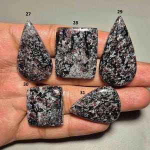 Może przedstawiać: Pięć wypolerowanych kamieni szlachetnych o różnych kształtach: łezki, prostokątnych i trójkątnych. Kamienie mają nakrapiany wzór w odcieniach czerni, bieli i czerwono-fioletu. Na kamieniach widoczne są numery 27, 28, 29, 30 i 31.