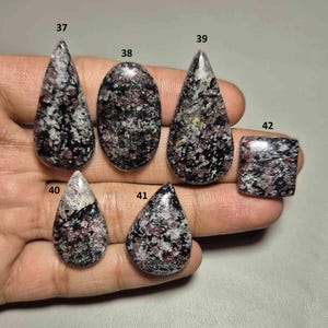 Peut inclure: Une collection de six pierres précieuses polies de différentes formes : goutte d'eau, ovale et carrée. Les pierres présentent un motif moucheté de noir, de blanc et de marron. Les pierres précieuses sont numérotées 37, 38, 39, 40, 41 et 42.