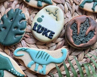 DINOSAUR  Cookies, DINO Birthday Party, Decorated Sugar Cookies, Boys Party Favours, Guest Gifts, Thank you for Coming
