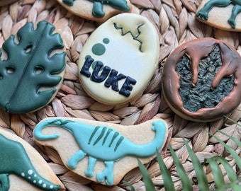 DINOSAUR  Cookies, DINO Birthday Party, Decorated Sugar Cookies