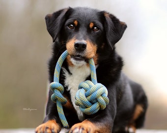 Hundespielball - Nachhaltiges Hundespielzeug aus Kletterseil