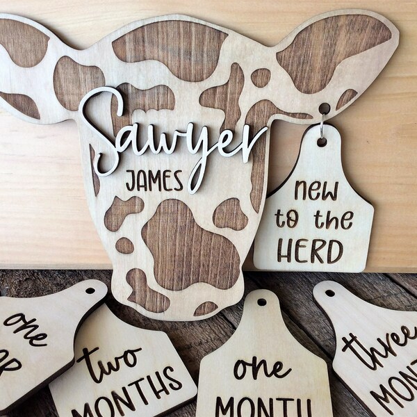 Baby Clothes Tag Etsy