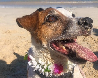 Dog Flower Lei // White Jasmine with Purple & Pink Flowers and Green Ferns // Elastic Dog Necklace // Over the Collar // Flower Dog Collar