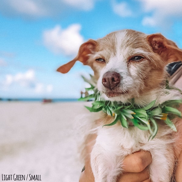 Dog Flower Lei // Various Colors for Male and Female Dog // Elastic Dog Necklace // Over the Collar // Dog Accessory // Flower Dog Collar