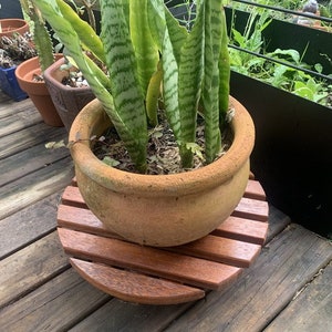 May include: A large terracotta pot with a green snake plant on a wooden plant stand. The pot is sitting on a wooden deck.