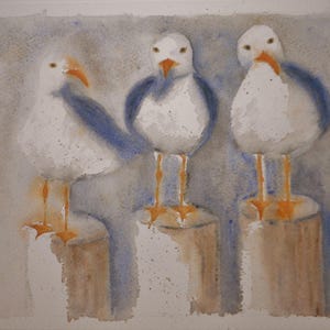 Contemporary Art Watercolor Beach Birds Handmade Seagull Bird Painting