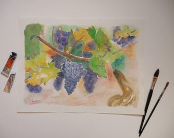 Watercolor of fruits Bunch of grapes on a vine in France Occitanie Painters