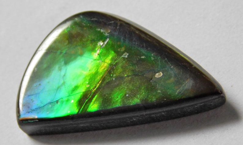 12.85 Cts Natural Polished Ammolite Cabochon Loose Gemstone 23.6X14X4.3 mm SW101-20