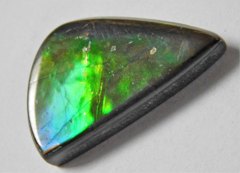 12.85 Cts Natural Polished Ammolite Cabochon Loose Gemstone 23.6X14X4.3 mm SW101-20