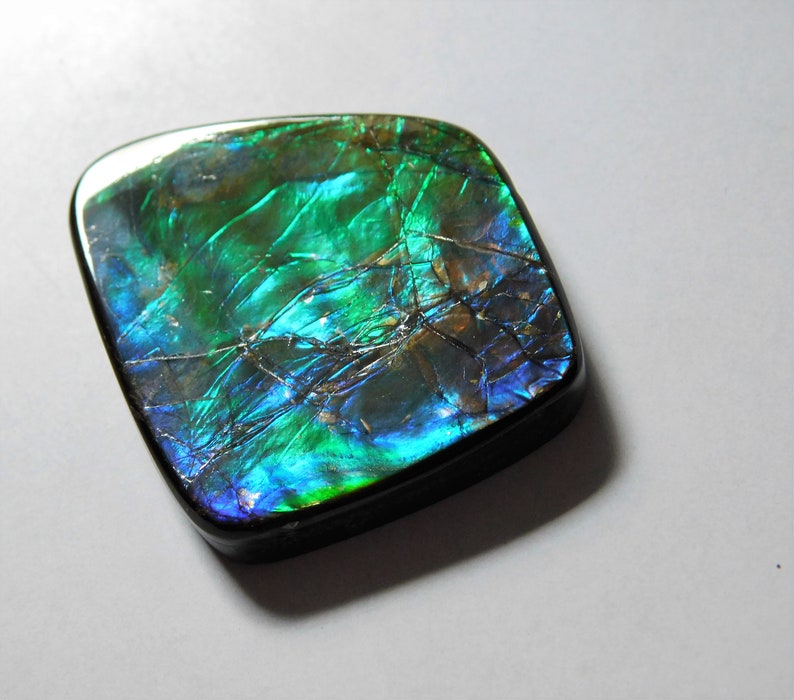 50.65 Cts Natural Ammolite Cabochon Loose Gemstone 35.9X27X5MM 05