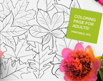 Relaxing Adult Color Therapy Art Therapy Meditation Teens And Children Calming Succulents And Cacti Coloring Book Anti-Stress And Mindfulness Coloring for Adults Anti-Anxiety