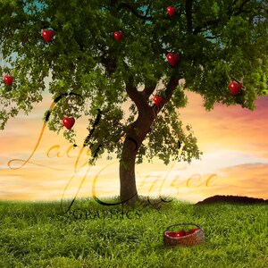 Valentines | Heart shaped Apple Tree | Sunset | Digital Backdrop | Background