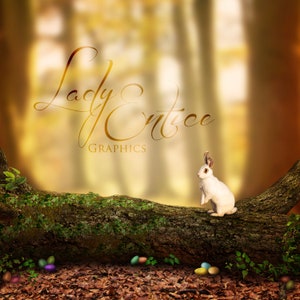 Easter | Log | Digital Background | Backdrop with Bunny