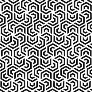 May include: Black and white geometric pattern with repeating hexagonal shapes. The pattern is made up of thin lines that create a maze-like effect.