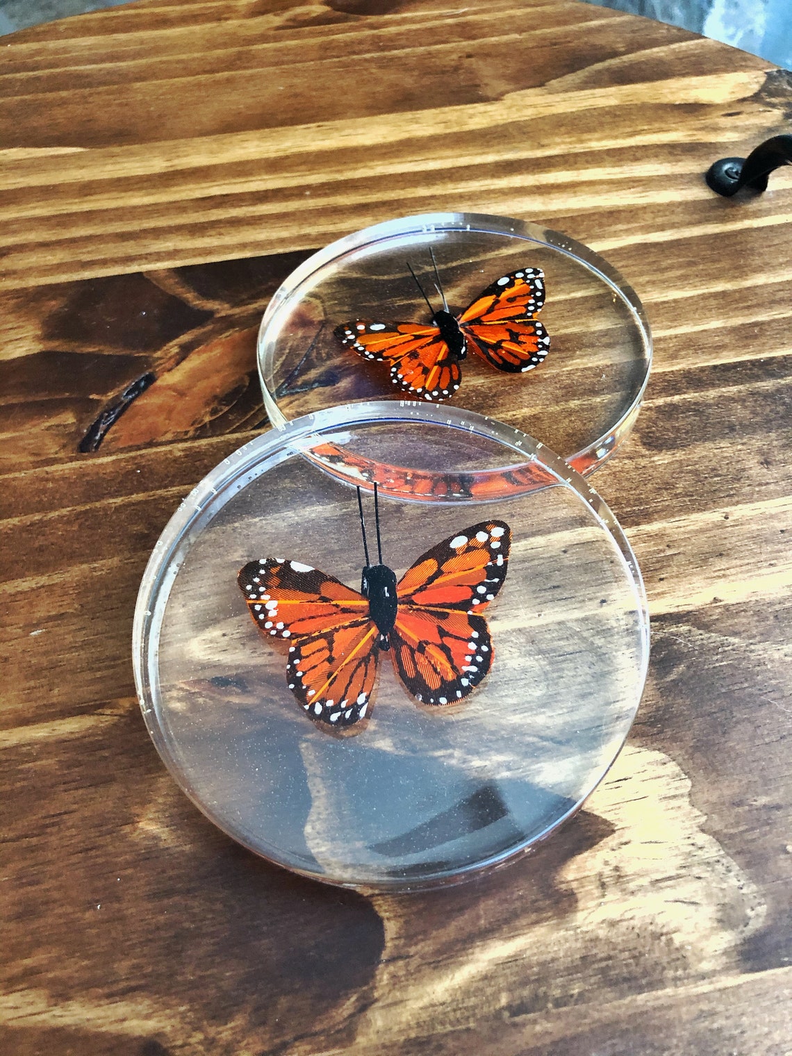 Faux Monarch Butterfly Resin Coaster Resin Art Butterfly Etsy