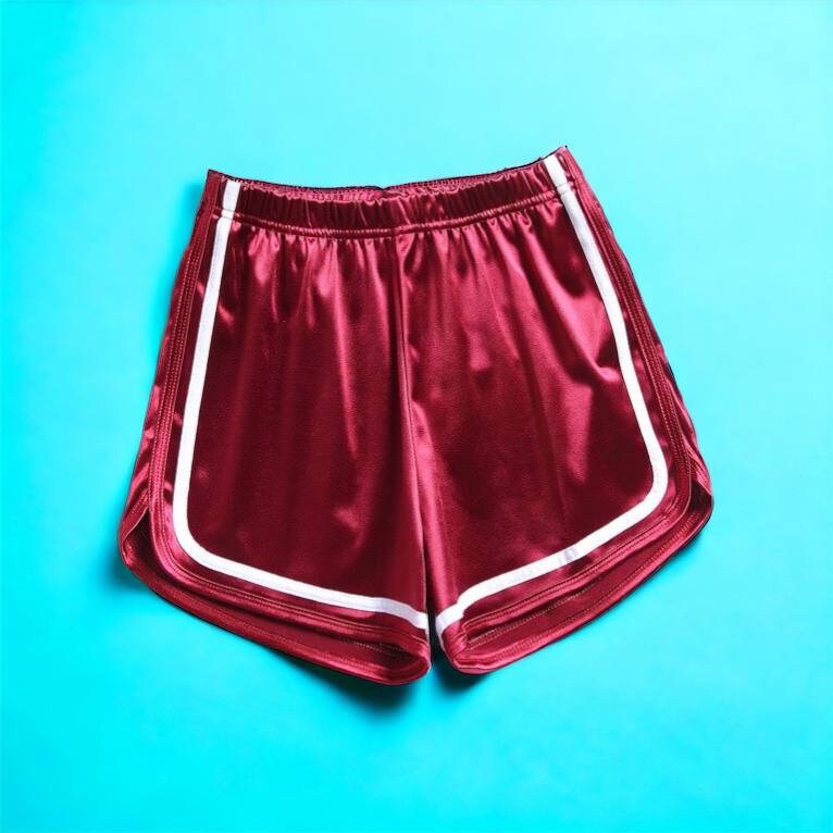 Norte Women's Silk Gym Shorts