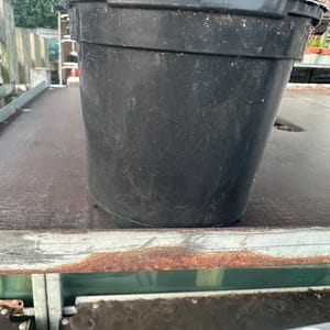 May include: A large, black plastic plant pot with a slightly tapered design. The pot has a wide rim and a textured surface, suitable for various plants. Ideal for gardening and landscaping.